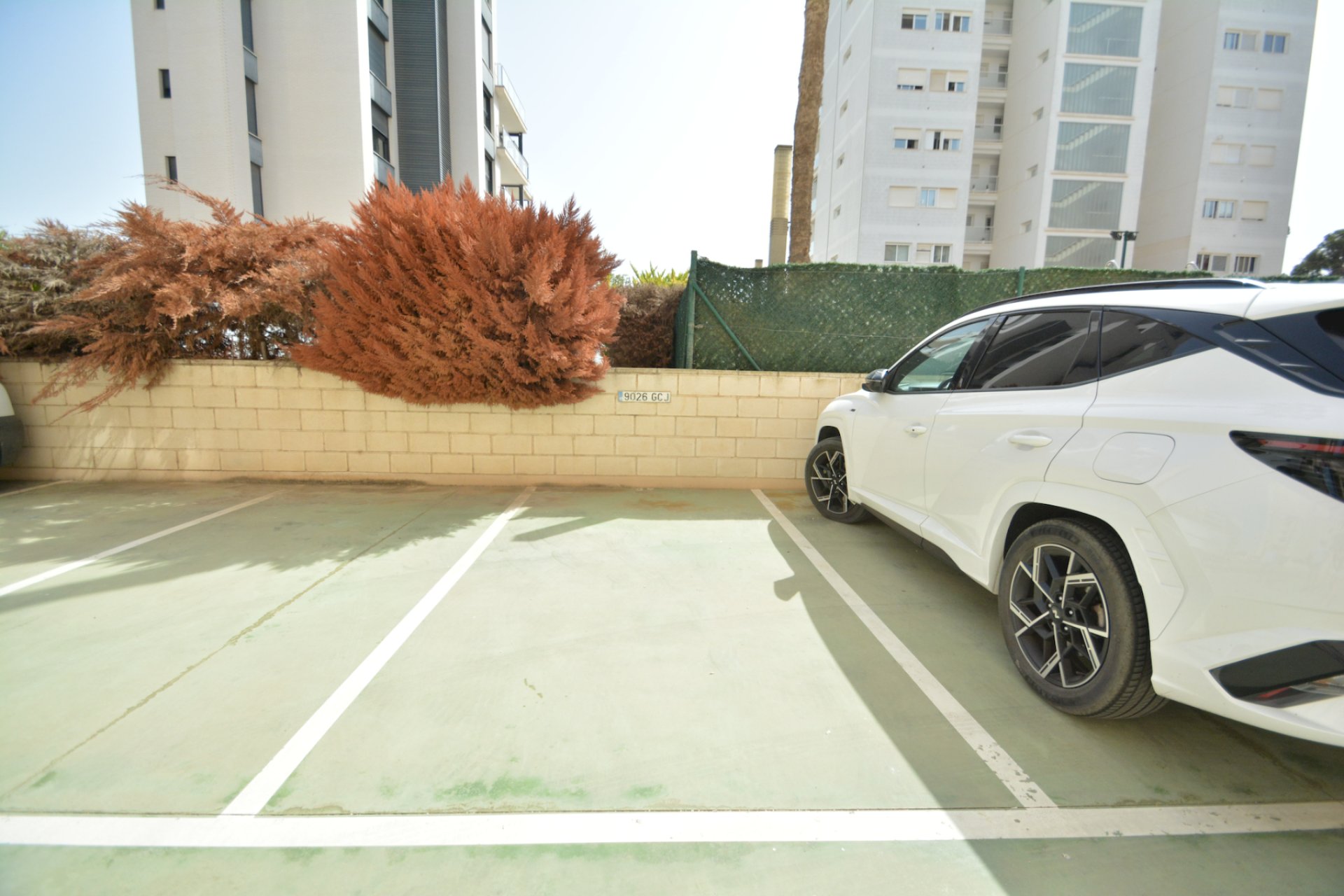 Resale - Apartment - Guardamar del Segura - SUP 7