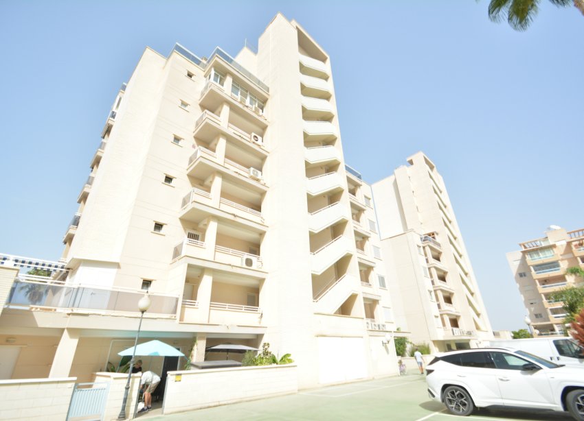 Resale - Apartment - Guardamar del Segura - SUP 7