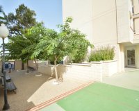 Resale - Apartment - Guardamar del Segura - SUP 7