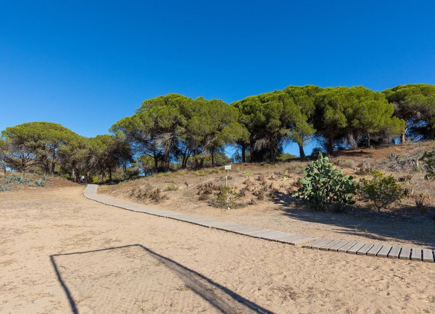 Resale - Apartment - Guardamar del Segura - Urb. pinomar