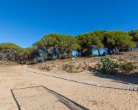 Resale - Apartment - Guardamar del Segura - Urb. pinomar