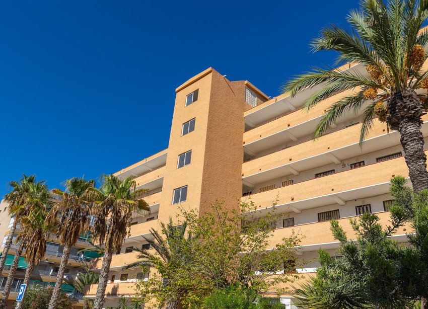 Resale - Apartment - Guardamar del Segura - Urb. pinomar