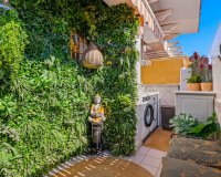 Resale - Apartment - ﻿Torrevieja (Alicante) - Torrevieja