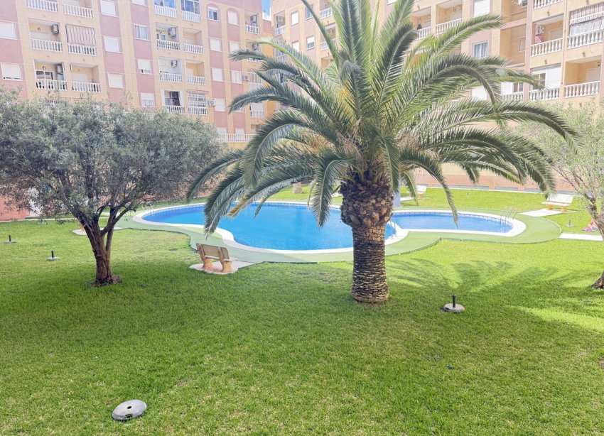 Resale - Apartment - ﻿Torrevieja (Alicante) - Torrevieja