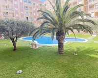 Resale - Apartment - ﻿Torrevieja (Alicante) - Torrevieja
