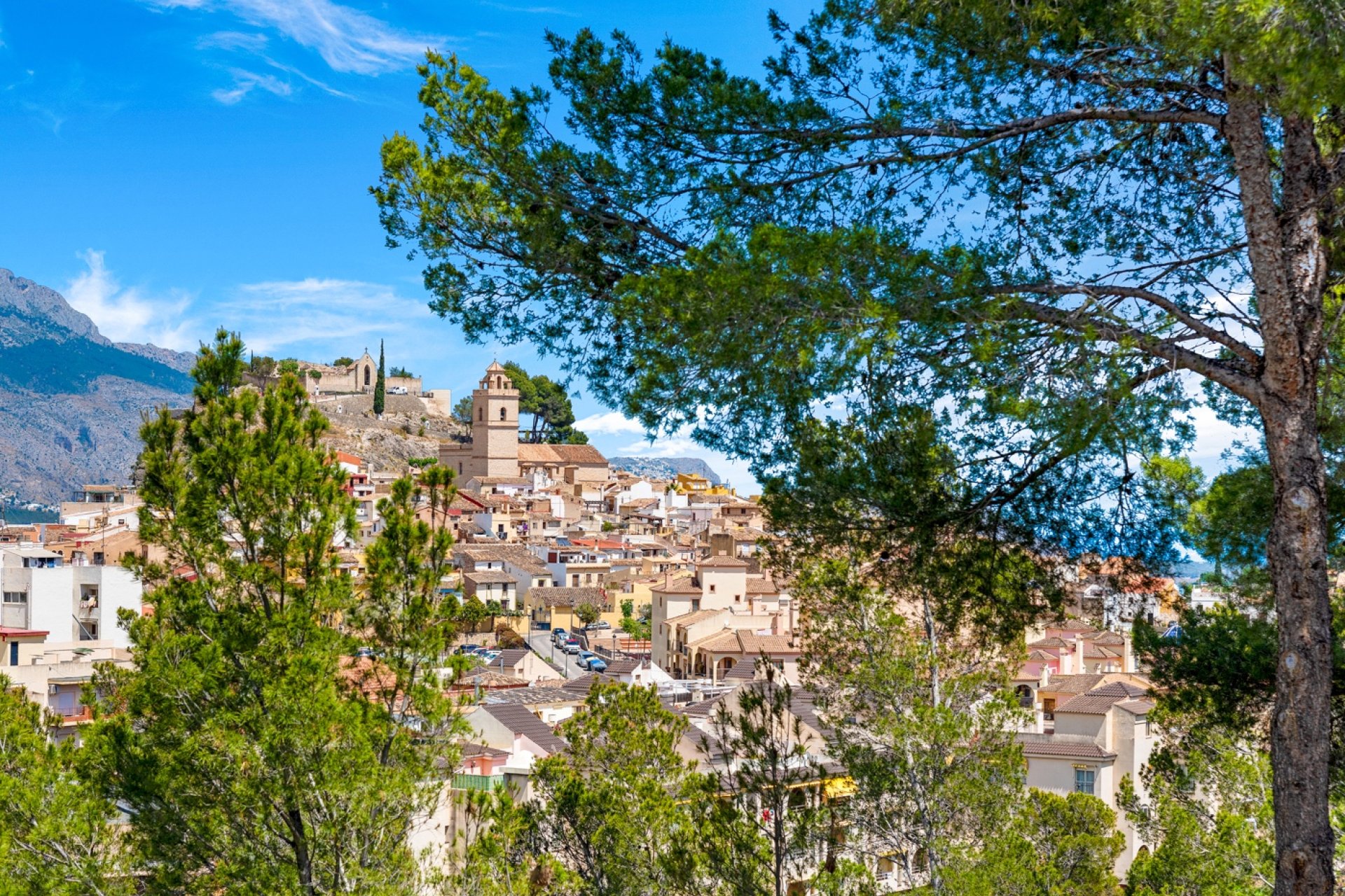 Resale - Apartment - La Nucía