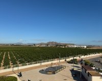 Resale - Apartment - Los Alcazares - Santa Rosalía