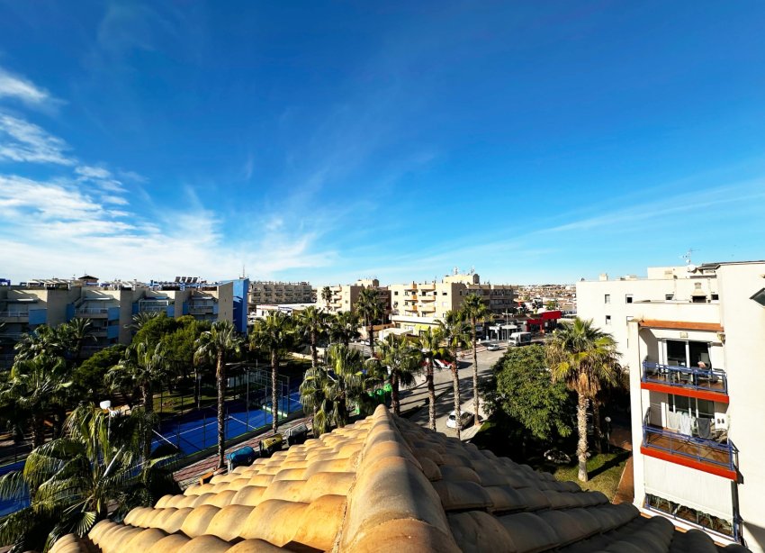 Resale - Apartment - Orihuela Costa - Agua Marina
