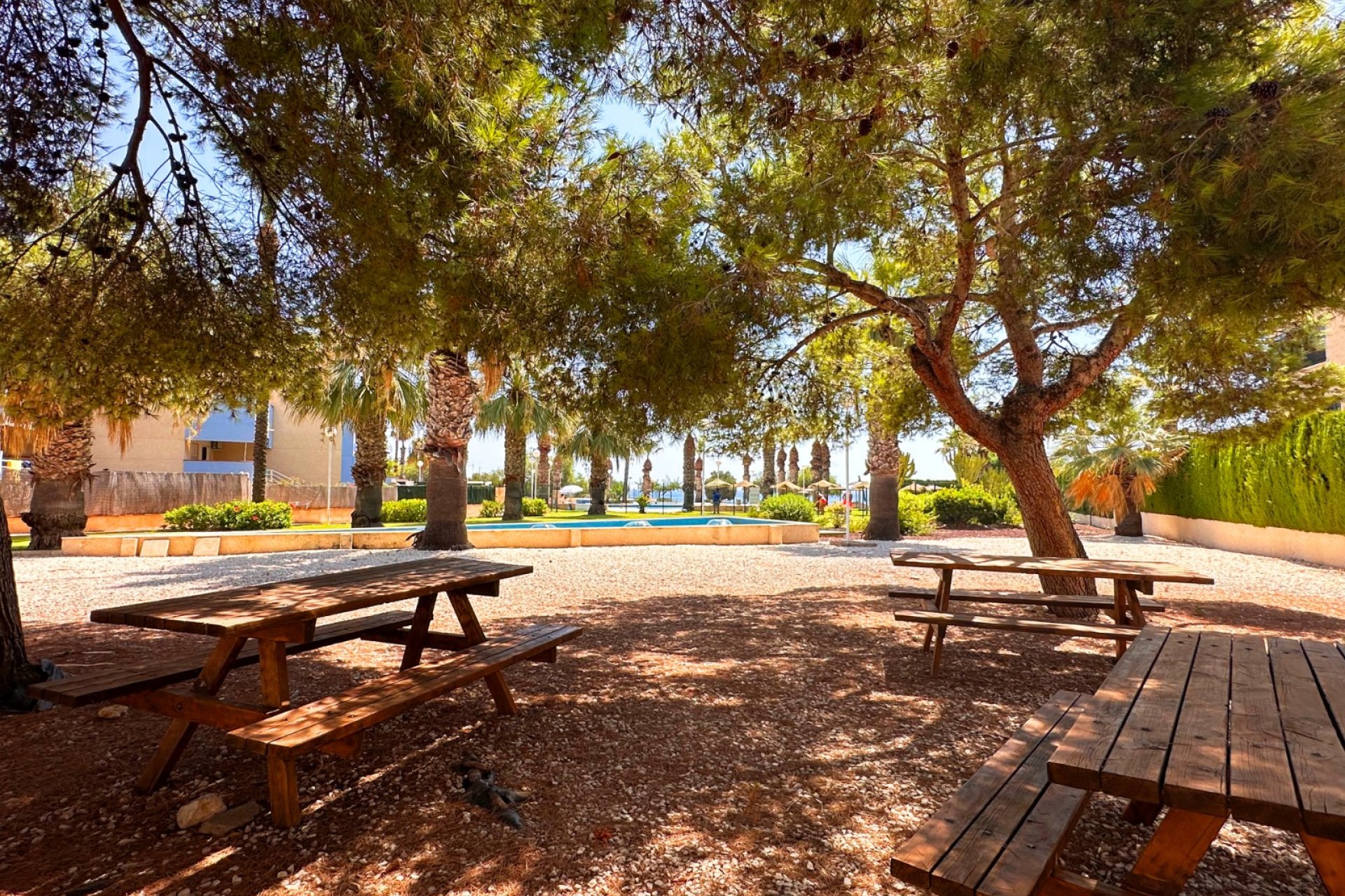 Resale - Apartment - Orihuela Costa - Agua Marina