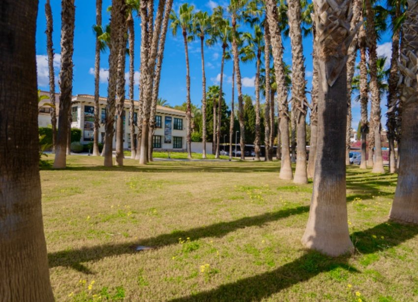 Resale - Apartment - Orihuela - Costa Blanca