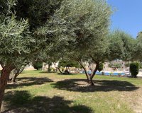 Resale - Apartment - Orihuela Costa - Blue Lagoon
