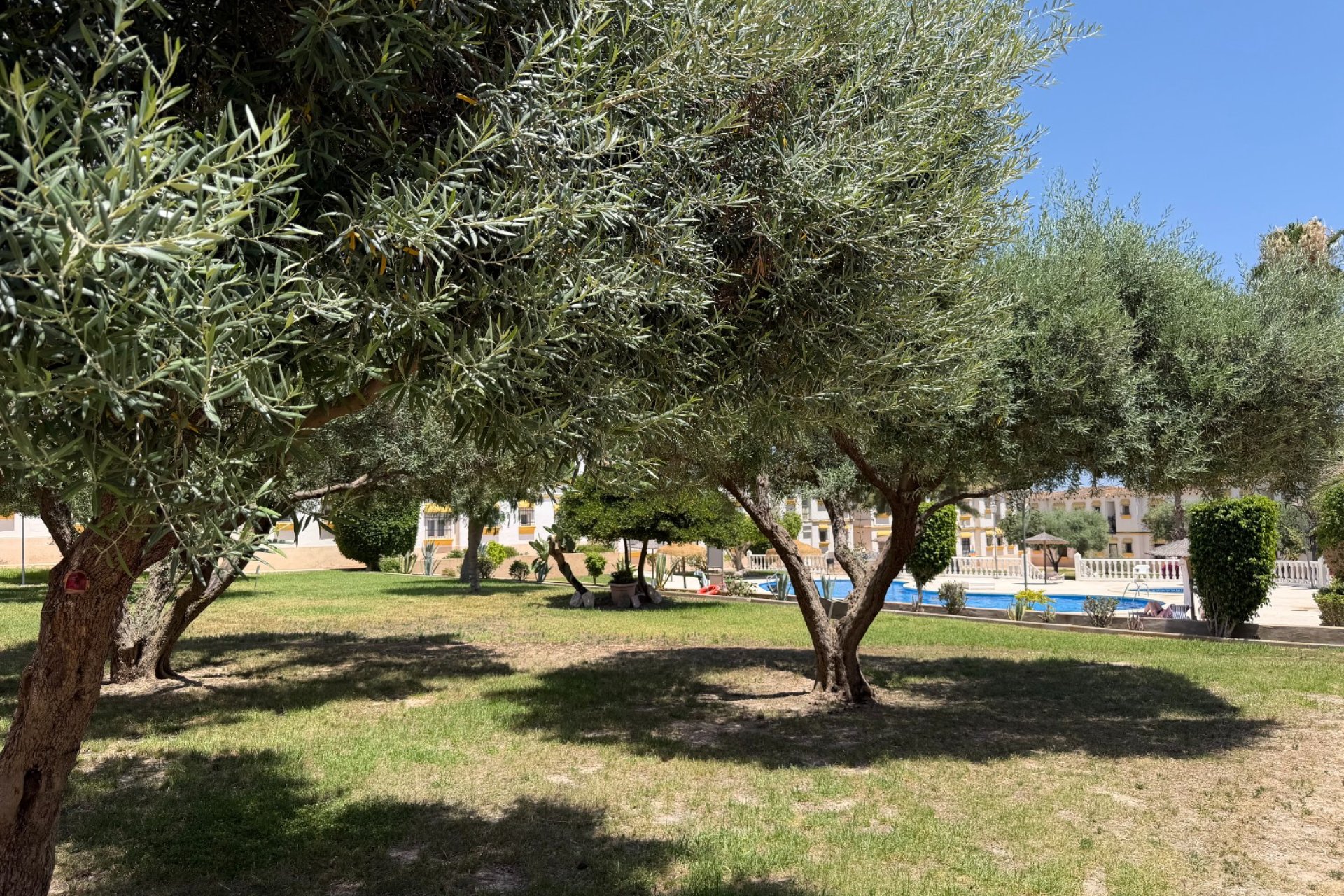 Resale - Apartment - Orihuela Costa - Blue Lagoon