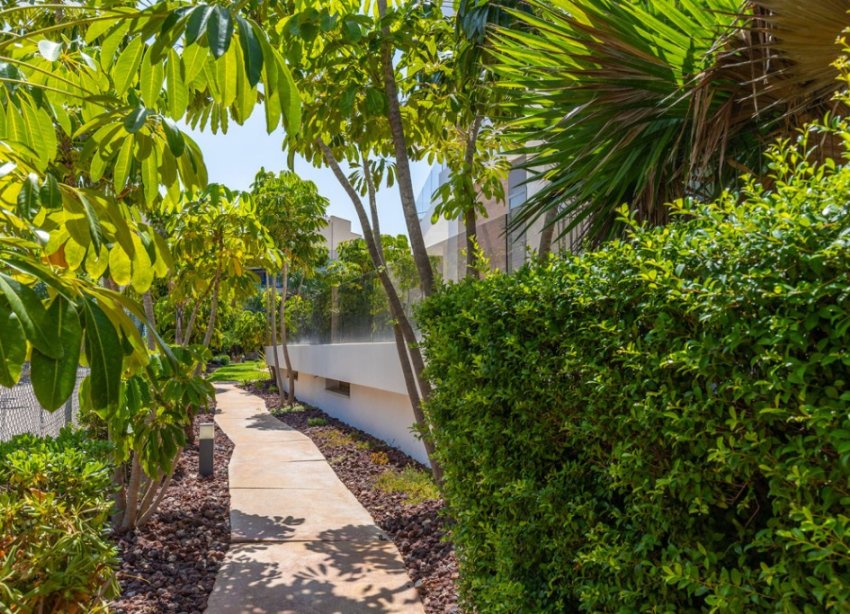 Resale - Apartment - Orihuela Costa - Cabo Roig