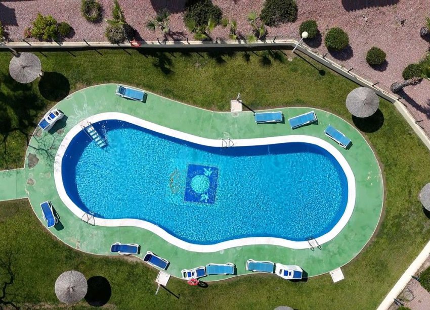 Resale - Apartment - Orihuela Costa - Campoamor R-5