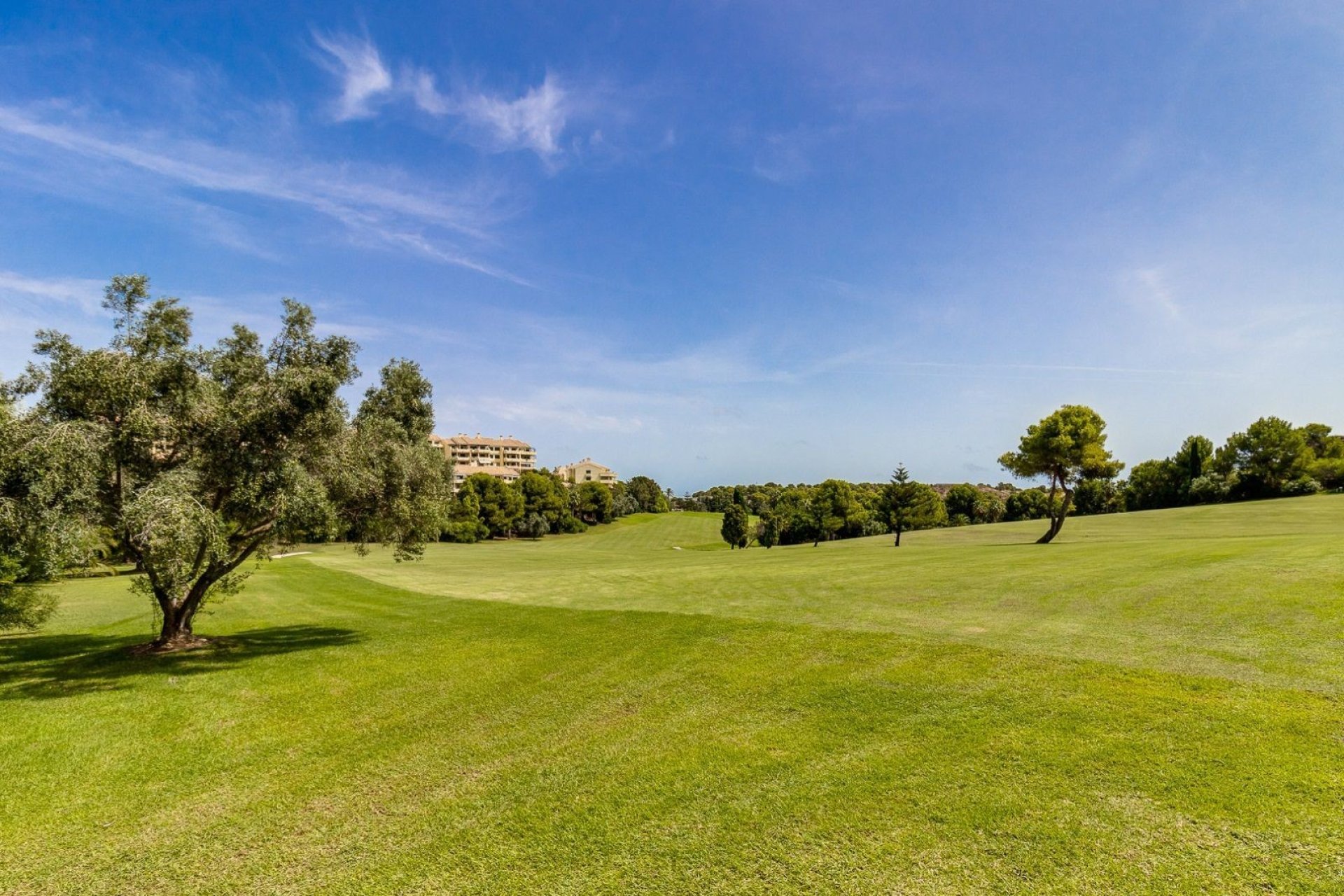 Resale - Apartment - Orihuela Costa - Campoamor