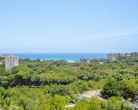 Resale - Apartment - Orihuela Costa - Campoamor