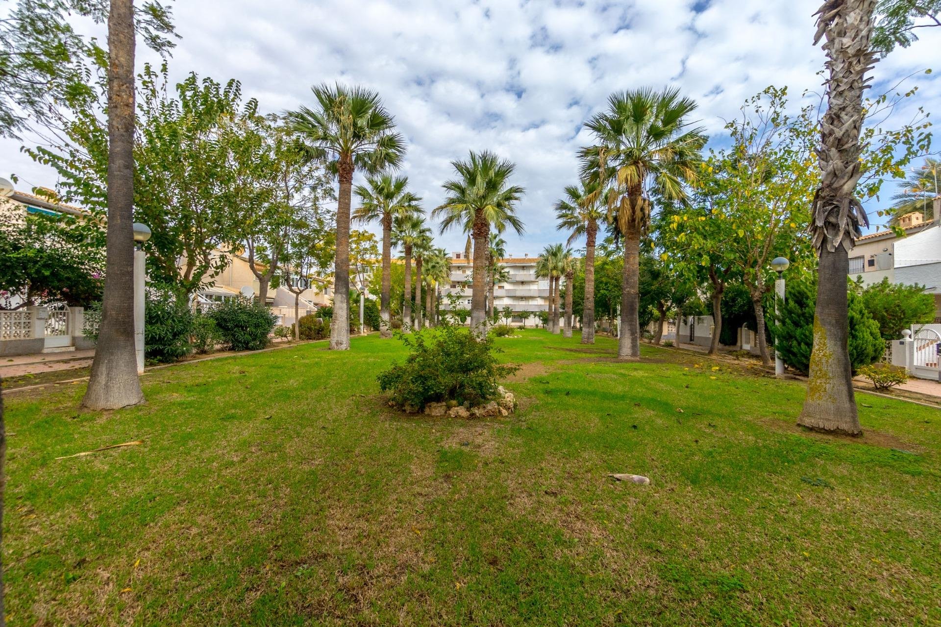 Resale - Apartment - Orihuela Costa - Campoamor