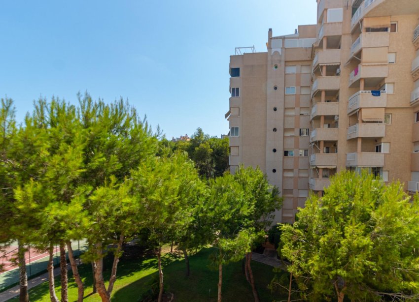 Resale - Apartment - Orihuela Costa - Campoamor