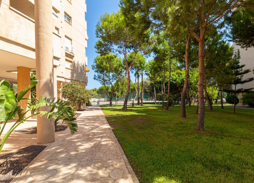 Resale - Apartment - Orihuela Costa - Campoamor