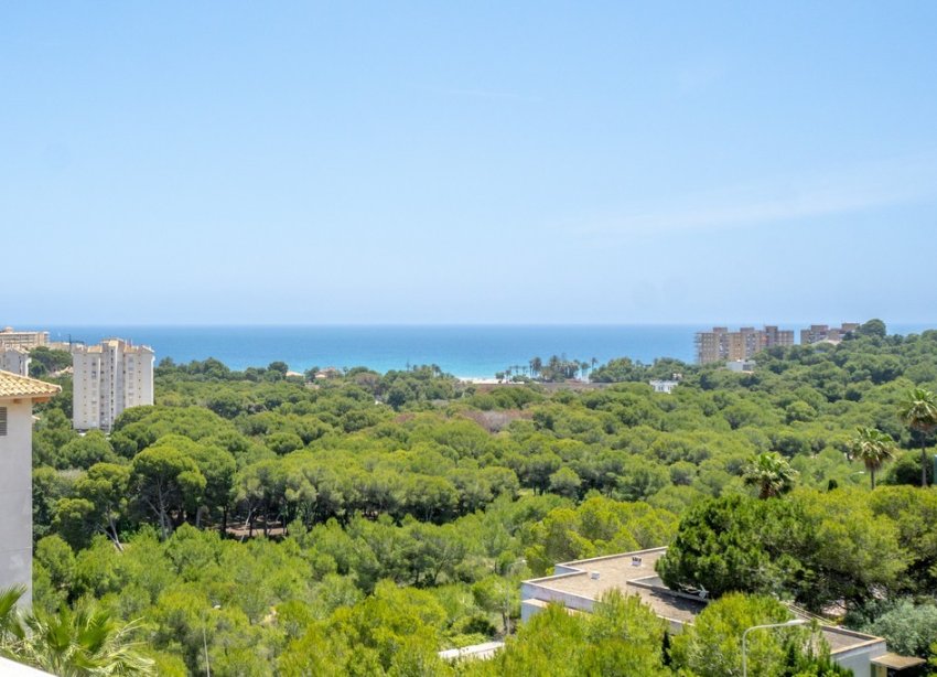 Resale - Apartment - Orihuela Costa - Dehesa De Campoamor