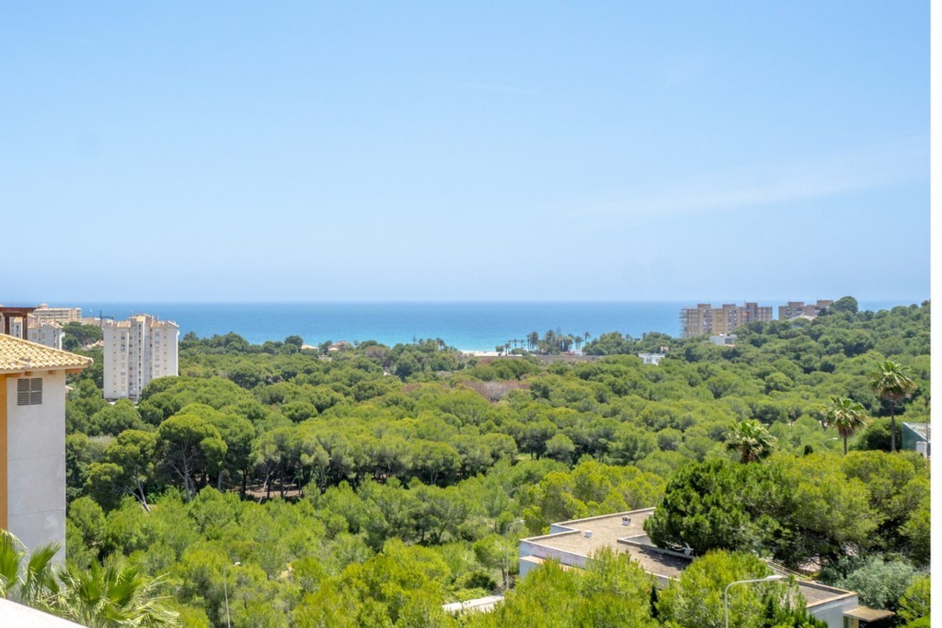 Resale - Apartment - Orihuela Costa - Dehesa De Campoamor
