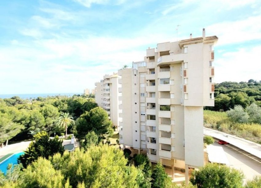 Resale - Apartment - Orihuela Costa - Dehesa De Campoamor