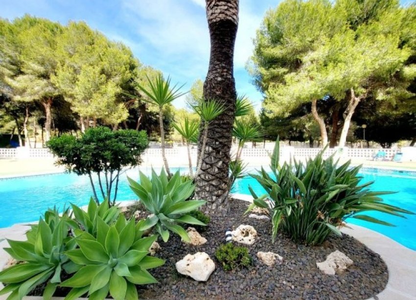 Resale - Apartment - Orihuela Costa - Dehesa De Campoamor