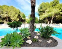 Resale - Apartment - Orihuela Costa - Dehesa De Campoamor