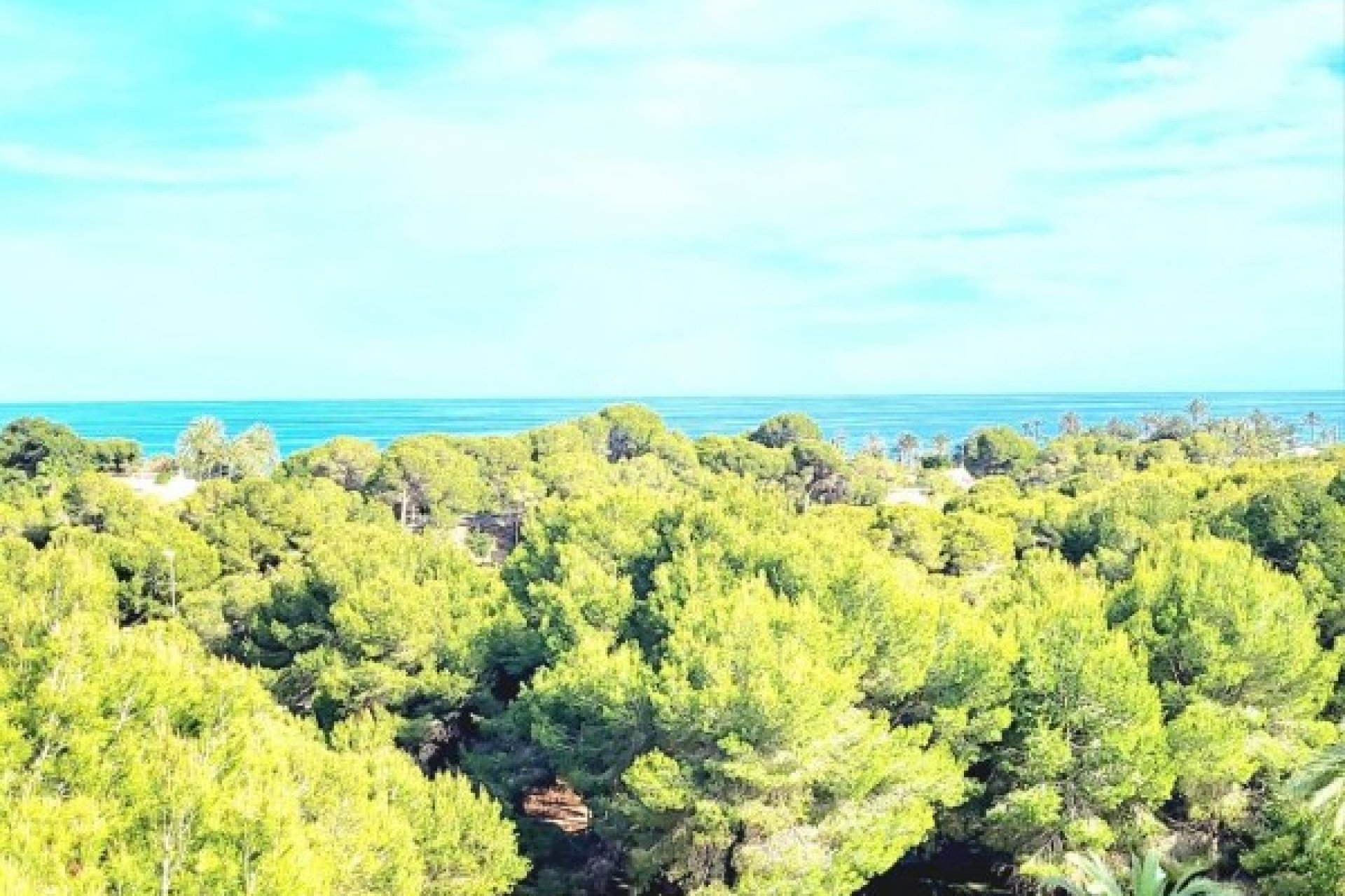 Resale - Apartment - Orihuela Costa - Dehesa De Campoamor