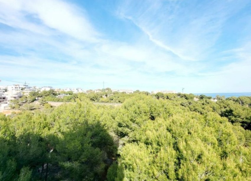 Resale - Apartment - Orihuela Costa - Dehesa De Campoamor