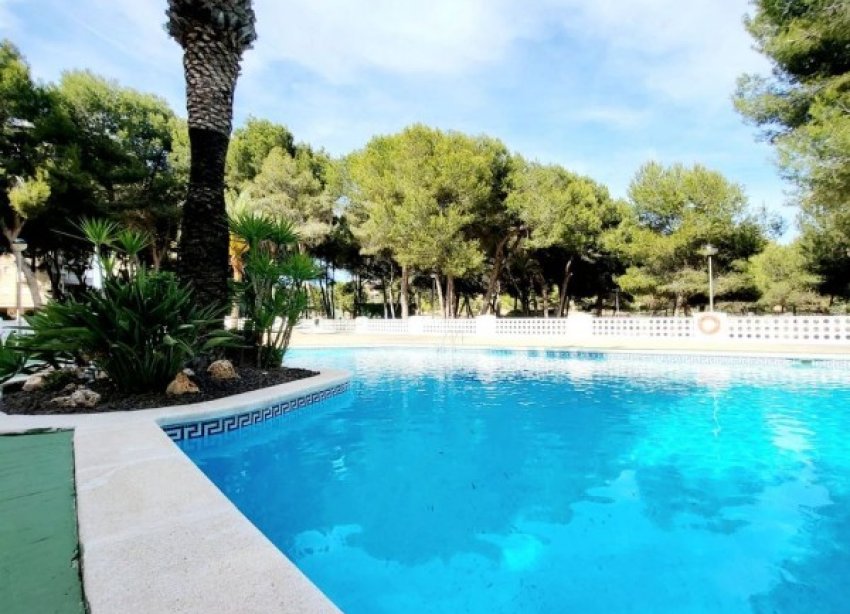 Resale - Apartment - Orihuela Costa - Dehesa De Campoamor