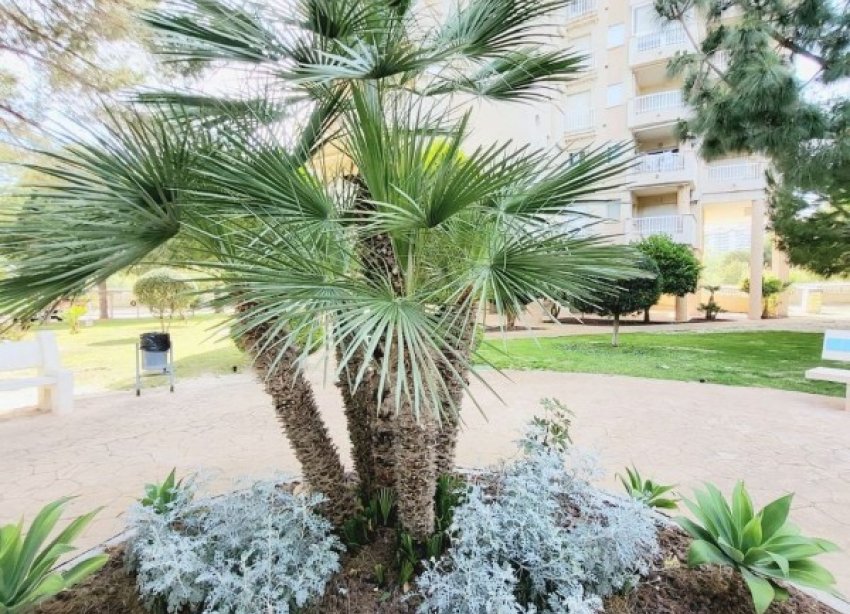 Resale - Apartment - Orihuela Costa - Dehesa De Campoamor