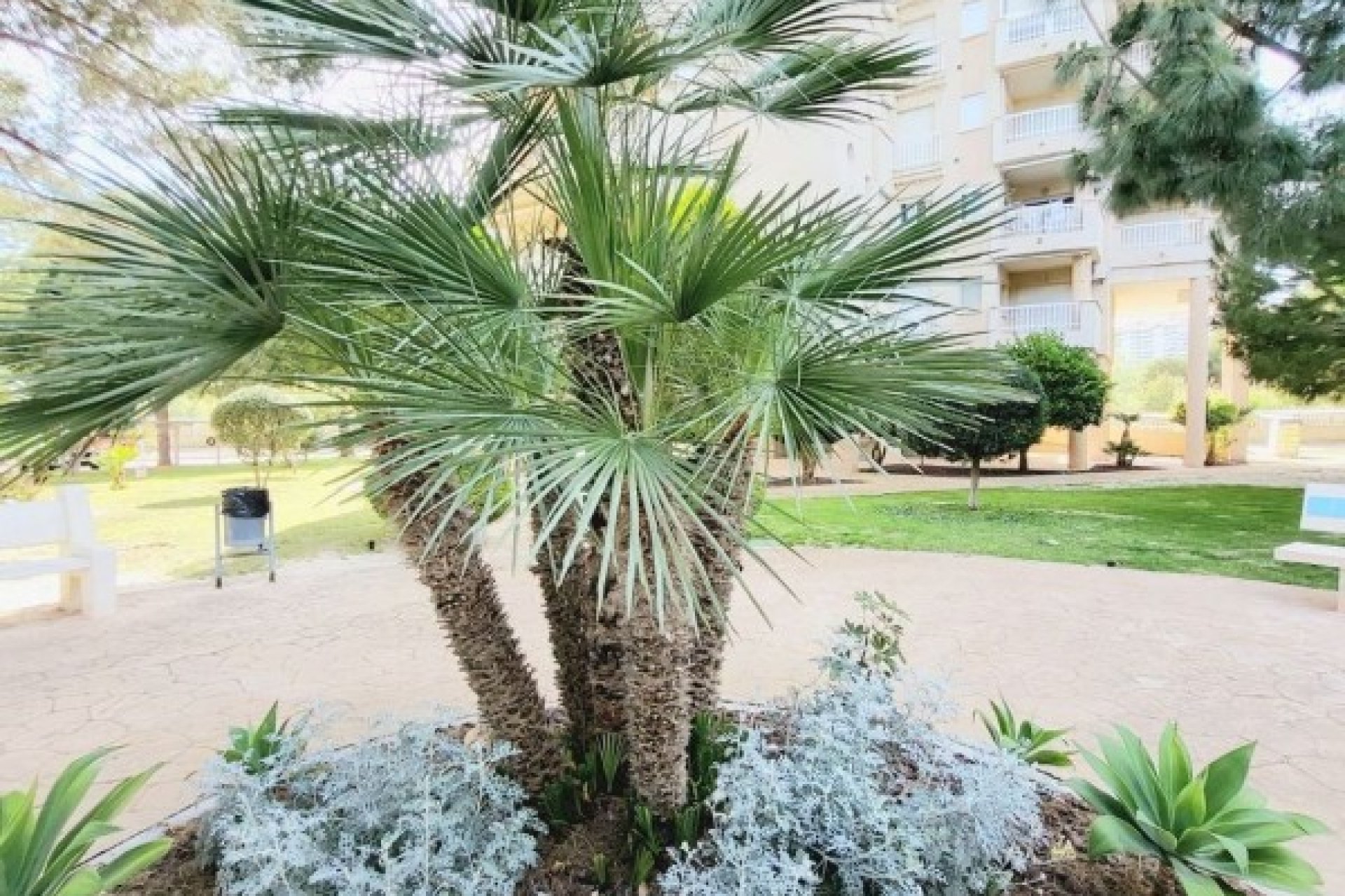 Resale - Apartment - Orihuela Costa - Dehesa De Campoamor