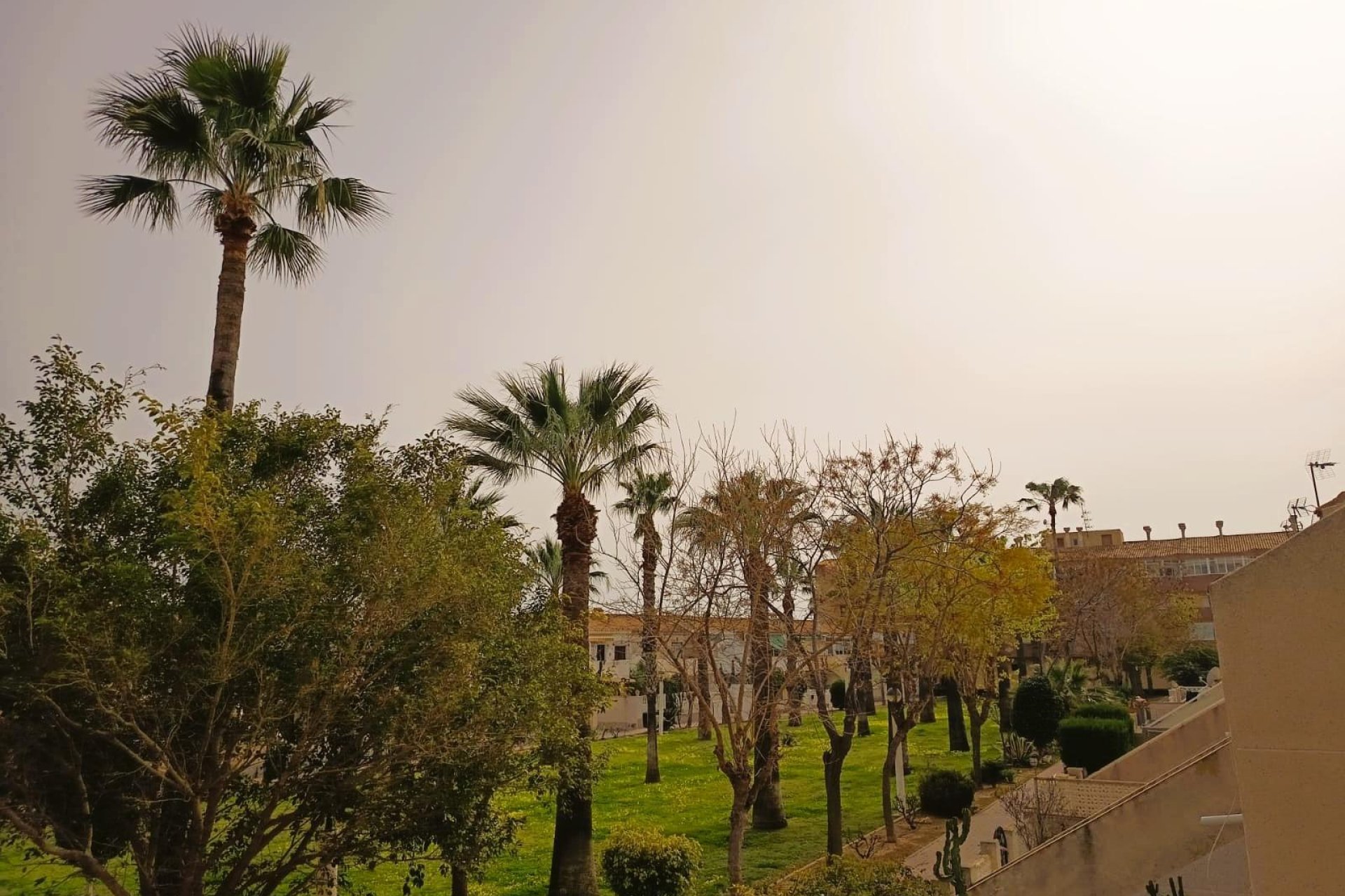 Resale - Apartment - Orihuela Costa - La Regia