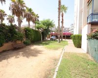 Resale - Apartment - Orihuela Costa - La Regia