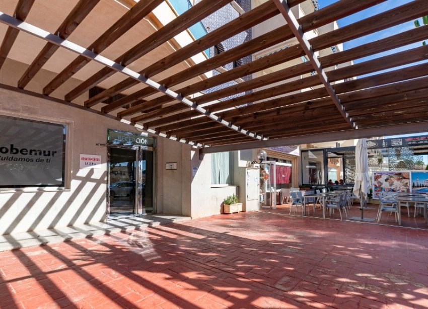 Resale - Apartment - Orihuela Costa - La Zenia