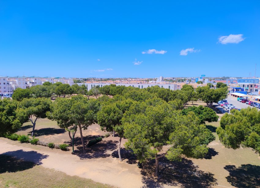 Resale - Apartment - Orihuela Costa - La Zenia
