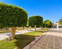 Resale - Apartment - Orihuela Costa - La Zenia