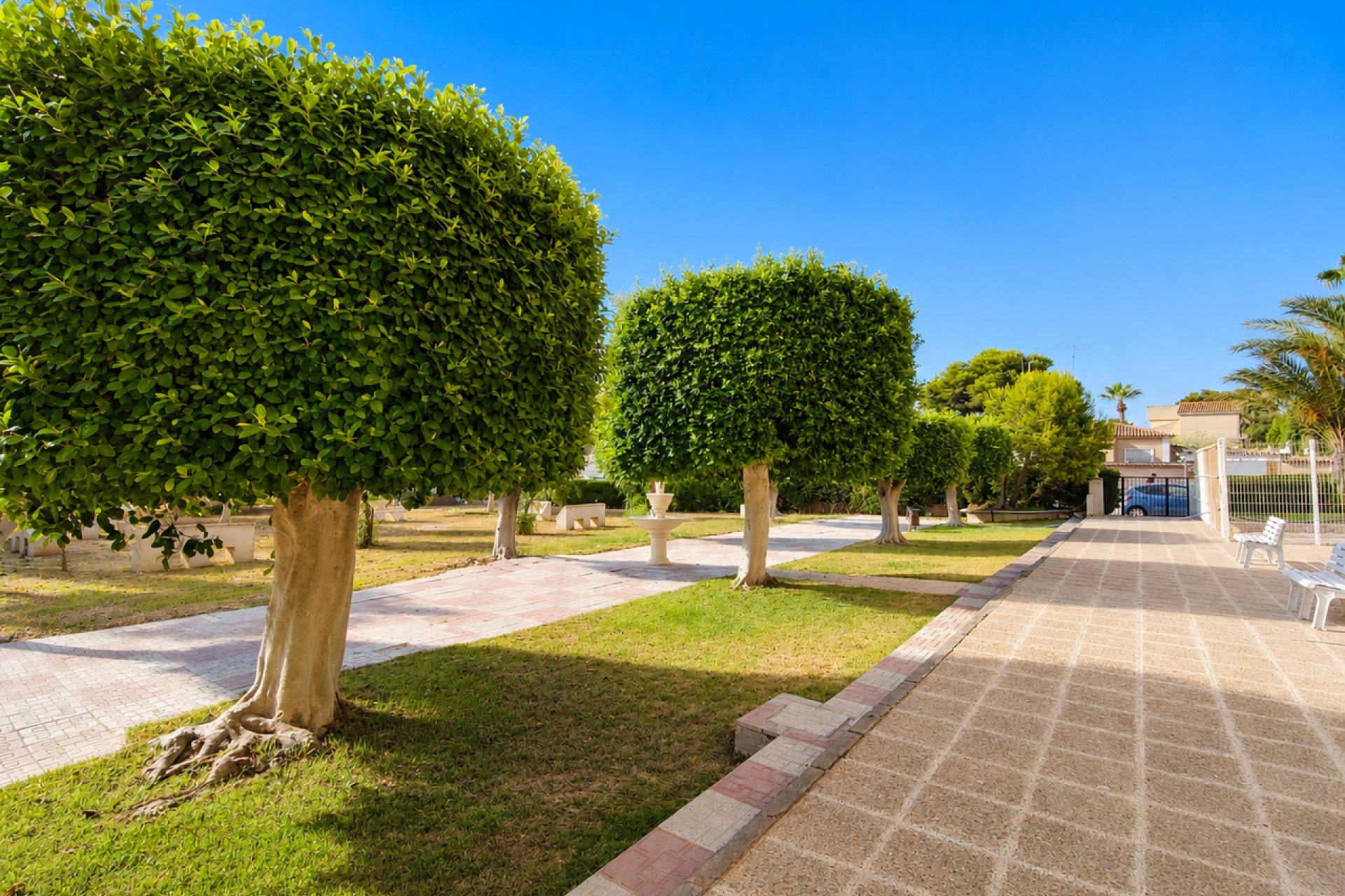 Resale - Apartment - Orihuela Costa - La Zenia