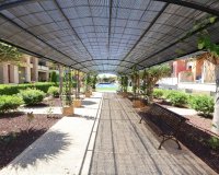 Resale - Apartment - Orihuela Costa - Lomas de Cabo Roig