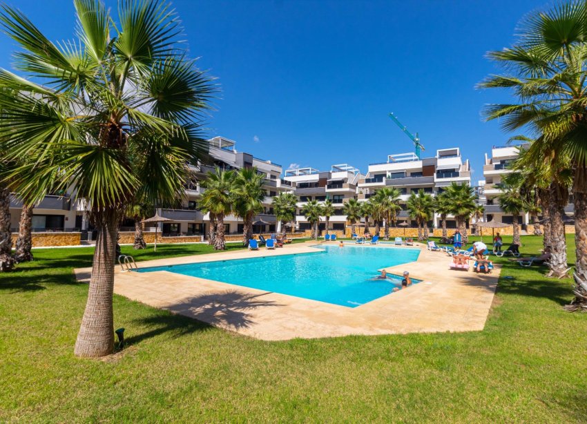 Resale - Apartment - Orihuela Costa - Los Almendros-La Florida