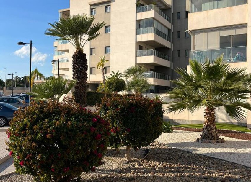 Resale - Apartment - Orihuela Costa - Los Dolses