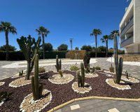 Resale - Apartment - Orihuela Costa - PAU 8
