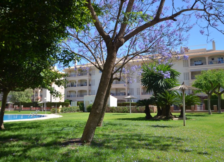 Resale - Apartment - Orihuela Costa - Playa Flamenca