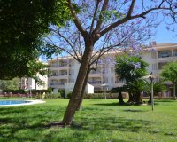 Resale - Apartment - Orihuela Costa - Playa Flamenca