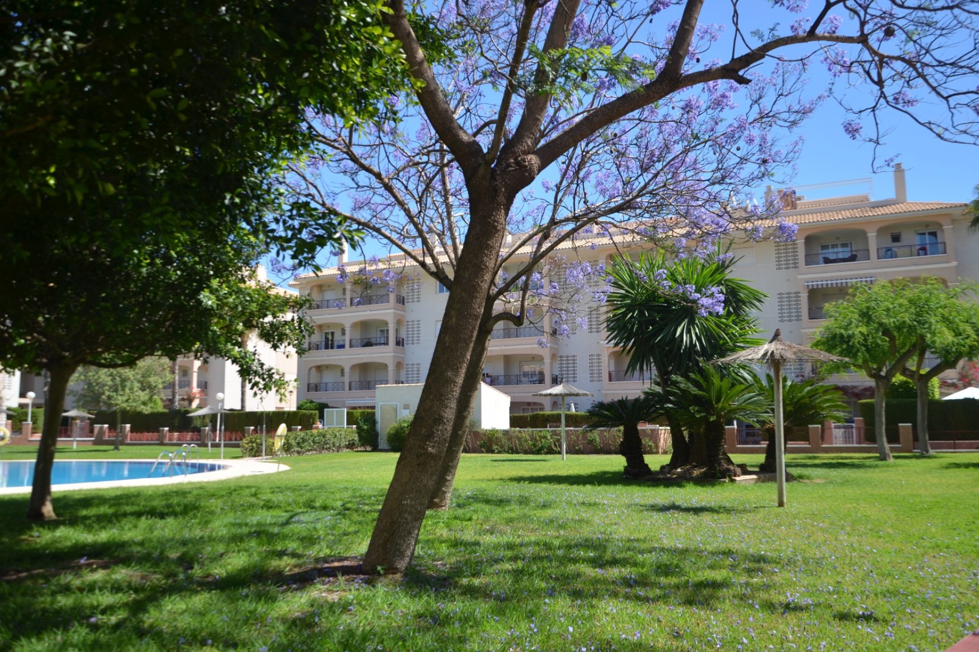 Resale - Apartment - Orihuela Costa - Playa Flamenca