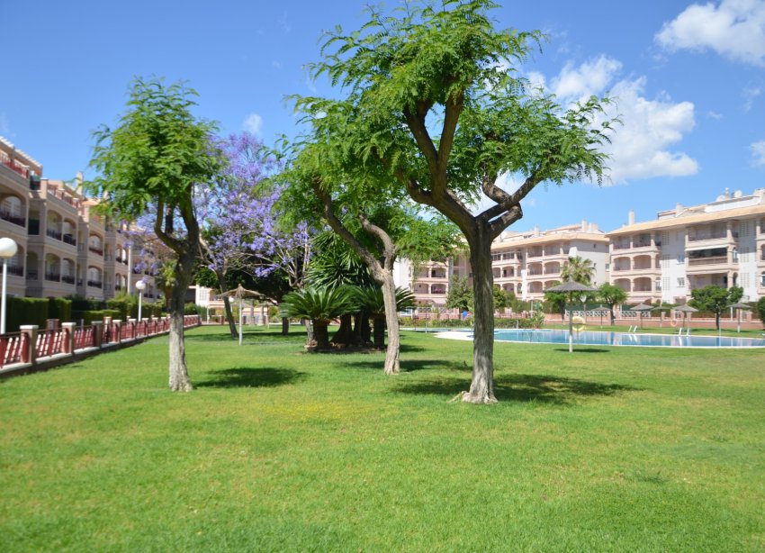 Resale - Apartment - Orihuela Costa - Playa Flamenca