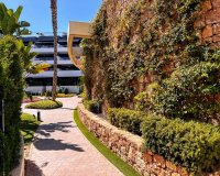 Resale - Apartment - Orihuela Costa - Playa Flamenca