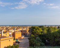 Resale - Apartment - Orihuela Costa - Playa Flamenca