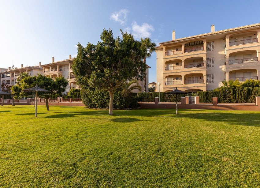 Resale - Apartment - Orihuela Costa - Playa Flamenca